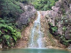 -南海湾森林生态园