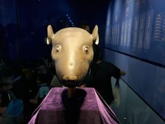 -广西壮族自治区博物馆