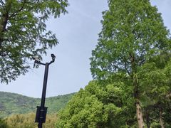 -宝岩生态观光园