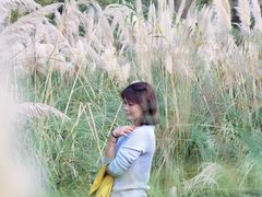 -长广溪湿地公园