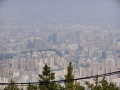 -兰山公园