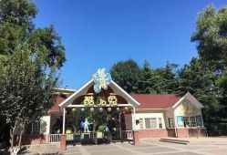 -酷酷兔少儿拓展天地