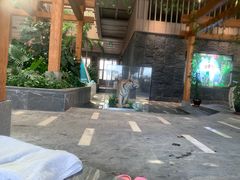 -弘安丽水温泉酒店