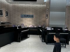 -知音艺术教育培训·钢琴培训·音乐培训(河西金鹰世界校区)