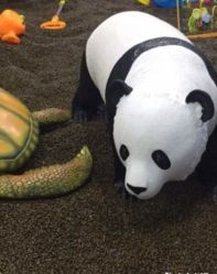 -佳贝爱益智主题儿童乐园(乐尔乐旗舰店)