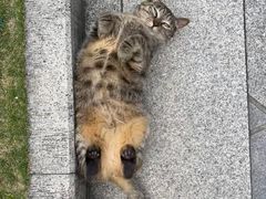 -上海不夜城广场(上海不夜城金融大厦店)