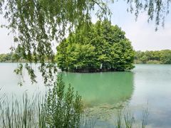 -尚湖风景区