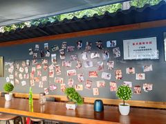 -柴犬高等学院·狗咖·柴犬售卖·宠物训练