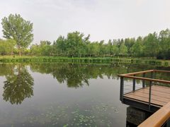 -东郊湿地公园