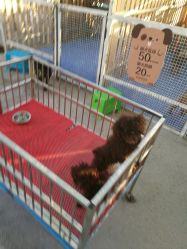 -萌宠亲子动物乐园(槐房万达店)