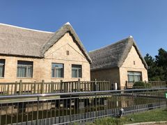 -海草馆自助餐厅(悦海店)