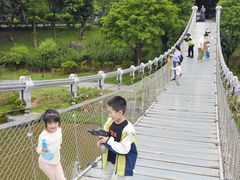 -东莞植物园