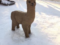 -沈阳奥体冰雪嘉年华