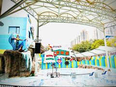 -海合安成都极地海洋公园