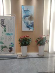 -雅曼妮spa美容养生