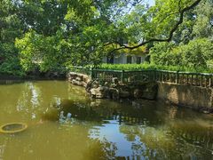 -东湖落雁景区