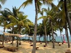 -宴悦海鲜餐厅Driftwood·游水海鲜·牛排(亚龙湾瑞吉店)