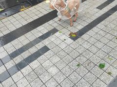 -万科美好广场
