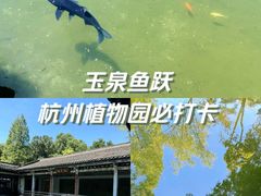 -杭州植物园