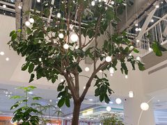 -大树餐厅(红旗街万达店)