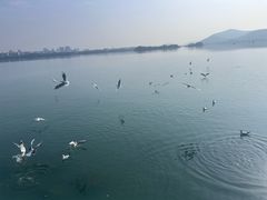 -桃源居(蠡园店)