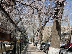 -长春市第一实验小学(北安路)