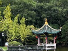 -江心屿景区