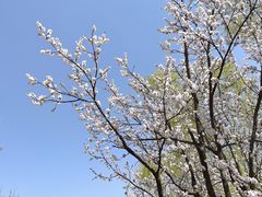 -青龙湖公园