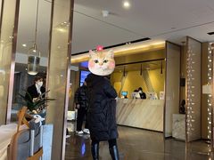 -苏州观前街亚朵酒店