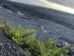 -夏威夷火山国家公园