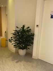 -天津伊美尔医疗整形美容专科医院