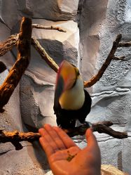 -Zoolung Zoolung动物主题公园(海信广场店)