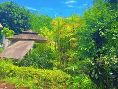 -丫口花园餐厅·融合菜