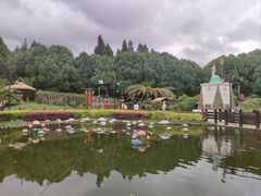 -云南民族村