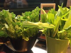 -手选潮汕鲜活牛肉火锅(二七广场店)