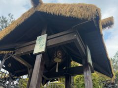 -崇阳三特浪口温泉