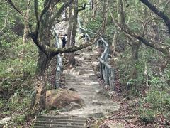 -梧桐山风景名胜区