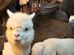 -波塞冬旅游度假区