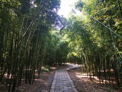 -同里国家湿地公园
