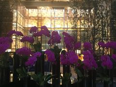 -天津君隆威斯汀酒店