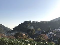 景点-龙井村