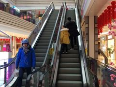 -紫荆广场·花漫里