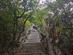 -梧桐山风景名胜区