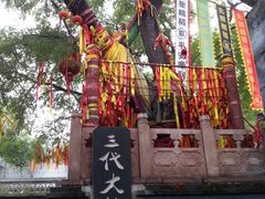 -大槐树寻根祭祖园