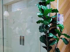 -许小树(国贸商城店)