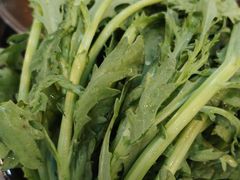 -蝎菜杨·牛肉面 羊蝎子火锅(光熙门北里店)