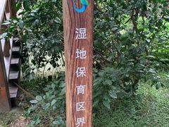 -同里国家湿地公园