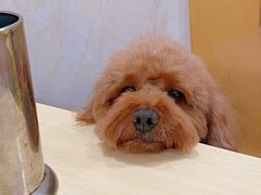 -福海面馆(阳曲店)