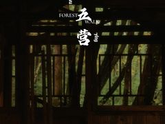 -五营红松林海景区