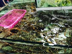 -班赞海鲜市场
